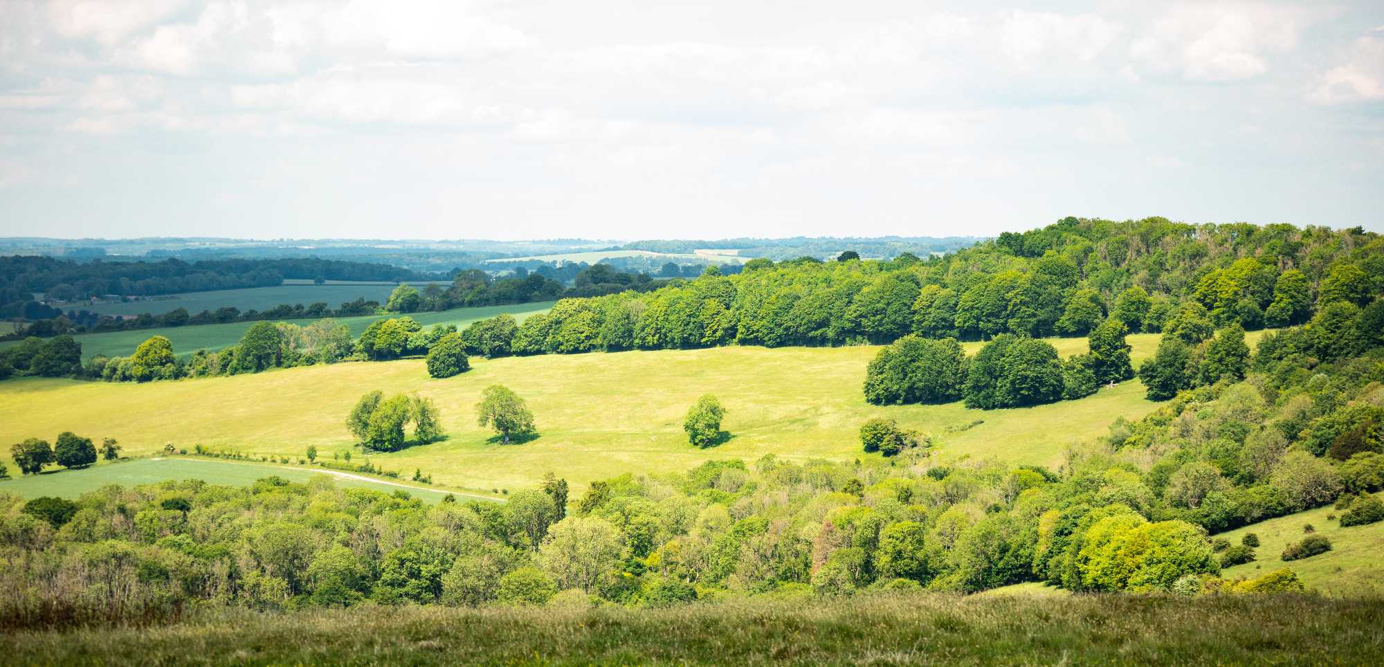 Fieldscropped